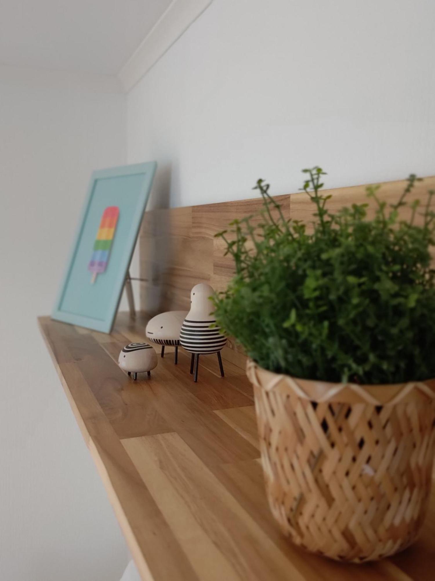 Appartementen Dorp & Duin Egmond aan Zee Eksteriør billede